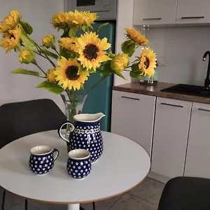 Spacious In The Heart Of Poznań